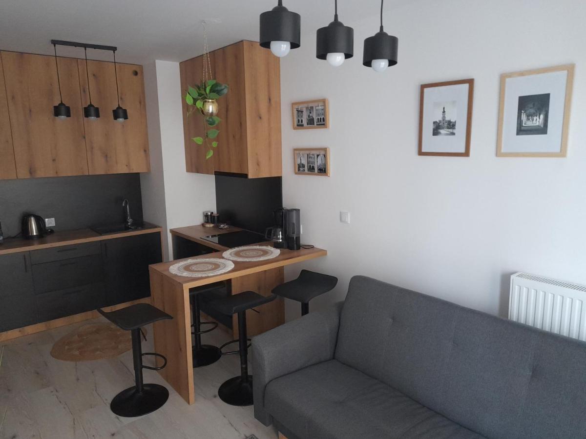 Apartament Amelia Zamość Dış mekan fotoğraf