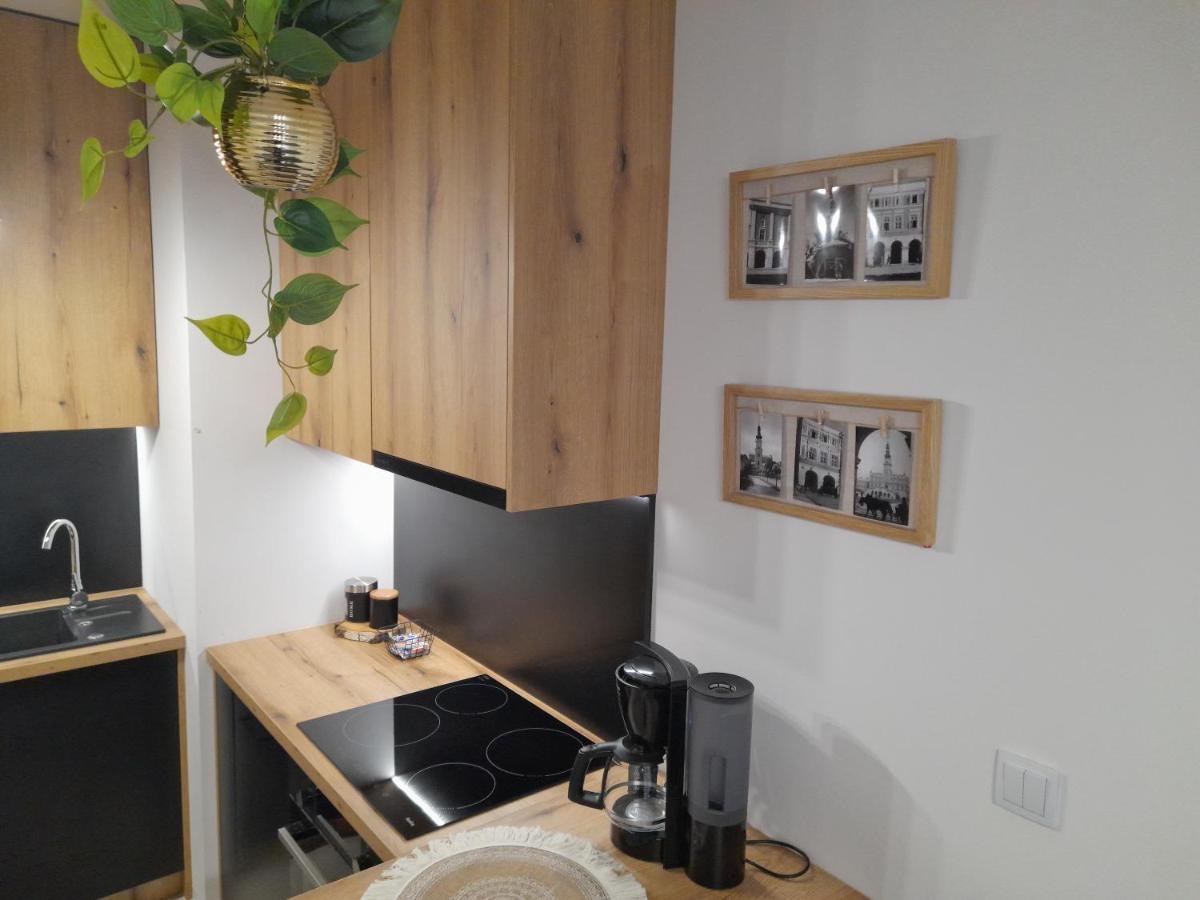 Apartament Amelia Zamość Dış mekan fotoğraf